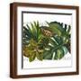 Brown Frame