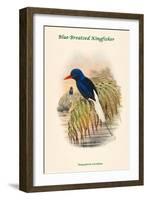 Tanysiptera Carolinae - Blue-Breatsed Kingfisher-John Gould-Framed Art Print