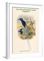 Tanysiptera Microorhyncha - Port-Moresby Racket-Tailed Kingfisher-John Gould-Framed Art Print