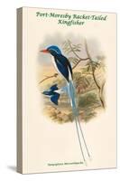 Tanysiptera Microorhyncha - Port-Moresby Racket-Tailed Kingfisher-John Gould-Stretched Canvas