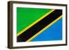 Tanzania Flag Design with Wood Patterning - Flags of the World Series-Philippe Hugonnard-Framed Premium Giclee Print