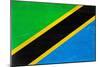Tanzania Flag Design with Wood Patterning - Flags of the World Series-Philippe Hugonnard-Mounted Premium Giclee Print