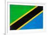 Tanzania Flag Design with Wood Patterning - Flags of the World Series-Philippe Hugonnard-Framed Art Print