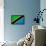 Tanzania Flag Design with Wood Patterning - Flags of the World Series-Philippe Hugonnard-Framed Stretched Canvas displayed on a wall