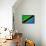 Tanzania Flag Design with Wood Patterning - Flags of the World Series-Philippe Hugonnard-Framed Stretched Canvas displayed on a wall