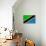 Tanzania Flag Design with Wood Patterning - Flags of the World Series-Philippe Hugonnard-Stretched Canvas displayed on a wall