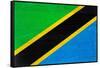 Tanzania Flag Design with Wood Patterning - Flags of the World Series-Philippe Hugonnard-Framed Stretched Canvas
