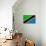 Tanzania Flag Design with Wood Patterning - Flags of the World Series-Philippe Hugonnard-Mounted Art Print displayed on a wall