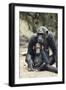 Tanzania, Gombe Stream NP, Mother Chimp and Her Child Sitting-Kristin Mosher-Framed Photographic Print