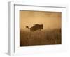 Tanzania, Serengeti; a Gnu Leaps Through the Grass-Niels Van Gijn-Framed Photographic Print