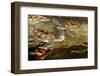 Tanzania, Zanzibar, Nungwi, Mnarani Aquarium, Swimming Turtles-Anthony Asael-Framed Premium Photographic Print