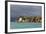 Tanzania, Zanzibar, Nungwi, Tourist Resort on Stilts-Anthony Asael-Framed Photographic Print