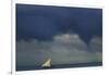 Tanzania, Zanzibar, Nungwi, Traditional Sailing Boat with Storm-Anthony Asael-Framed Photographic Print