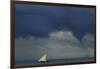 Tanzania, Zanzibar, Nungwi, Traditional Sailing Boat with Storm-Anthony Asael-Framed Photographic Print