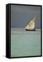 Tanzania, Zanzibar, Nungwi, Traditional Sailing Boat with Storm-Anthony Asael-Framed Stretched Canvas