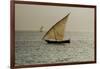 Tanzania, Zanzibar, Nungwi, Traditional Sailing Boat with Storm-Anthony Asael-Framed Photographic Print