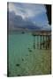 Tanzania, Zanzibar, Nungwi, Transparent Turquoise Sea and White Beach-Anthony Asael-Stretched Canvas