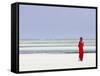 Tanzania, Zanzibar, Unguja, Pongwe, a Lady Looks Out to Sea-Nick Ledger-Framed Stretched Canvas