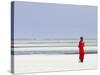 Tanzania, Zanzibar, Unguja, Pongwe, a Lady Looks Out to Sea-Nick Ledger-Stretched Canvas