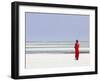 Tanzania, Zanzibar, Unguja, Pongwe, a Lady Looks Out to Sea-Nick Ledger-Framed Photographic Print