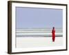 Tanzania, Zanzibar, Unguja, Pongwe, a Lady Looks Out to Sea-Nick Ledger-Framed Photographic Print