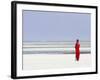 Tanzania, Zanzibar, Unguja, Pongwe, a Lady Looks Out to Sea-Nick Ledger-Framed Photographic Print