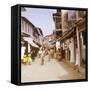 Tanzania, Zanzibar-null-Framed Stretched Canvas