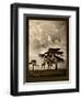 Tanzanian Landscape-Bobbie Goodrich-Framed Art Print