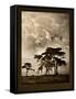 Tanzanian Landscape-Bobbie Goodrich-Framed Stretched Canvas