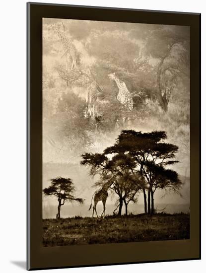 Tanzanian Landscape-Bobbie Goodrich-Mounted Art Print