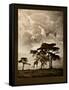 Tanzanian Landscape-Bobbie Goodrich-Framed Stretched Canvas