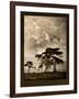 Tanzanian Landscape-Bobbie Goodrich-Framed Art Print