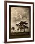 Tanzanian Landscape-Bobbie Goodrich-Framed Art Print