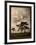 Tanzanian Landscape-Bobbie Goodrich-Framed Art Print