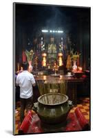 Taoist temple. Jade Emperor pagoda (Chua Phuoc Hai)-Godong-Mounted Photographic Print