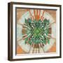 Taos Dreams-Bee Sturgis-Framed Art Print