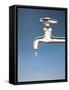 Tap with Drop-null-Framed Stretched Canvas