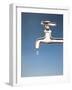 Tap with Drop-null-Framed Photographic Print