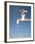 Tap with Drop-null-Framed Photographic Print