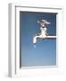 Tap with Drop-null-Framed Photographic Print