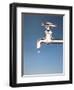 Tap with Drop-null-Framed Premium Photographic Print