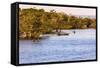 Tapajos River, Amazonia, Brazil-Françoise Gaujour-Framed Stretched Canvas