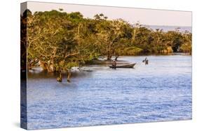 Tapajos River, Amazonia, Brazil-Françoise Gaujour-Stretched Canvas