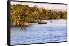 Tapajos River, Amazonia, Brazil-Françoise Gaujour-Framed Photographic Print