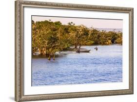 Tapajos River, Amazonia, Brazil-Françoise Gaujour-Framed Photographic Print