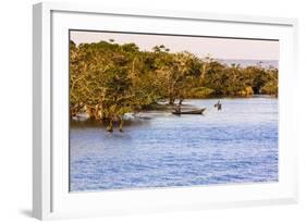 Tapajos River, Amazonia, Brazil-Françoise Gaujour-Framed Photographic Print