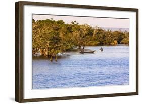 Tapajos River, Amazonia, Brazil-Françoise Gaujour-Framed Photographic Print