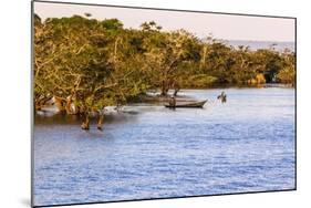 Tapajos River, Amazonia, Brazil-Françoise Gaujour-Mounted Photographic Print