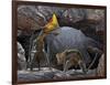 Tapejara Wellnhoferi Pterosaurs Seek Shelter Inside a Cave from a Rain Storm-null-Framed Art Print