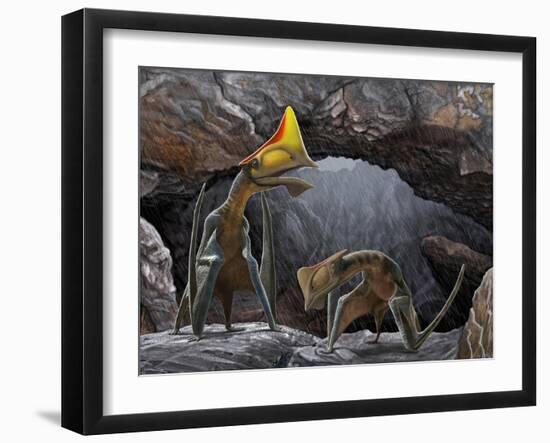 Tapejara Wellnhoferi Pterosaurs Seek Shelter Inside a Cave from a Rain Storm-null-Framed Art Print